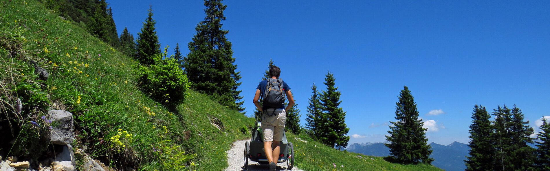 Man sieht den geschotterten Alpenrosenweg am Reuttener Hahnenkamm, der sich durch eine tief grüne Bergwiese zieht. Links geht es den Hang hinauf. Im Hintergrund sieht man den strahlend blauen Himmel und ein paar große Fichten. Ein Mann schiebt einen Kinderwagen von uns weg.