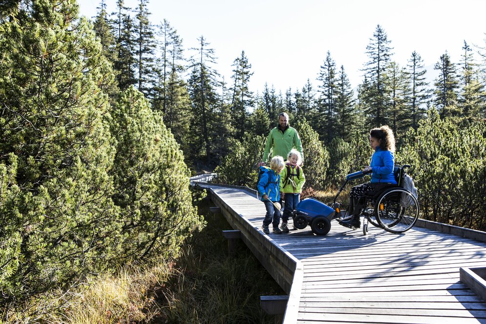 Wooden path; crossroads; four people