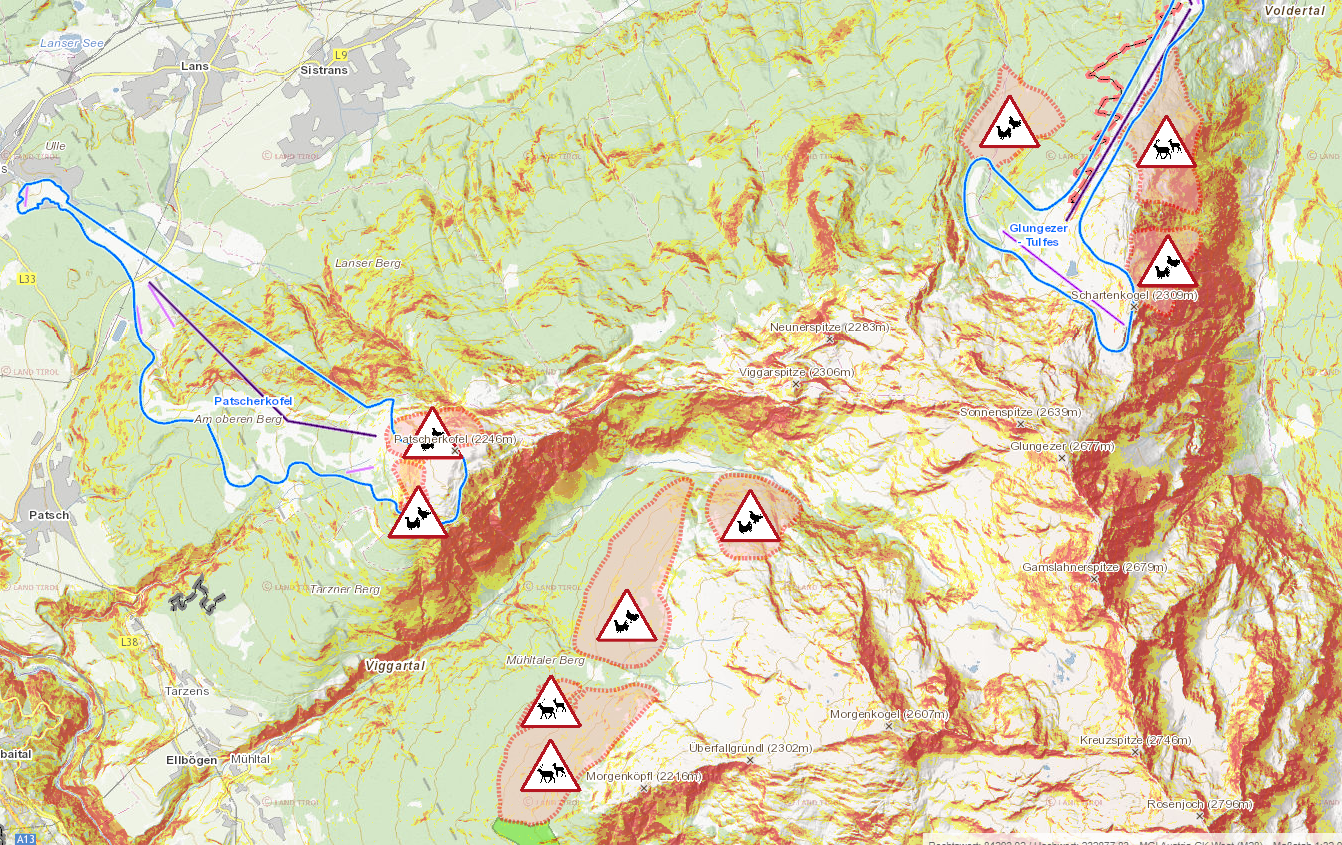 Kartenausschnitt vom Patscherkofel, Glungezer und Morgenkogel. Darauf sind die Wald- und Wildschutzzonen sichtbar.