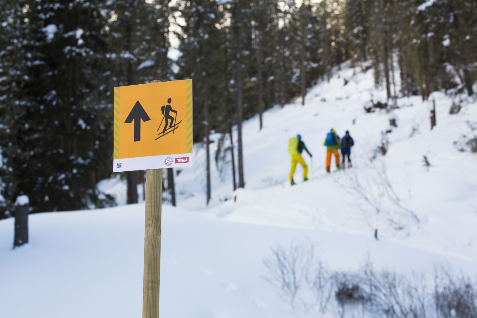 Skitourenschneise beschildert